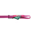 RuffWear Flagline Dog Leash Alpenglow Pink - Poudre Pet & Feed Supply 6